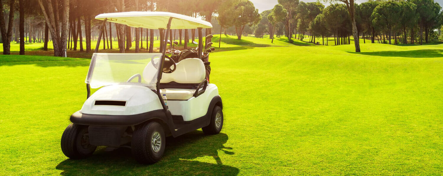 קלנועית חשמלית