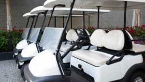 כמה עולה קלנועית