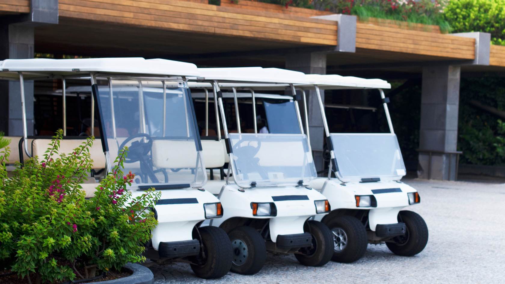 כמה עולה קלנועית 