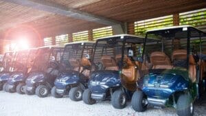 קולנועית חשמלי